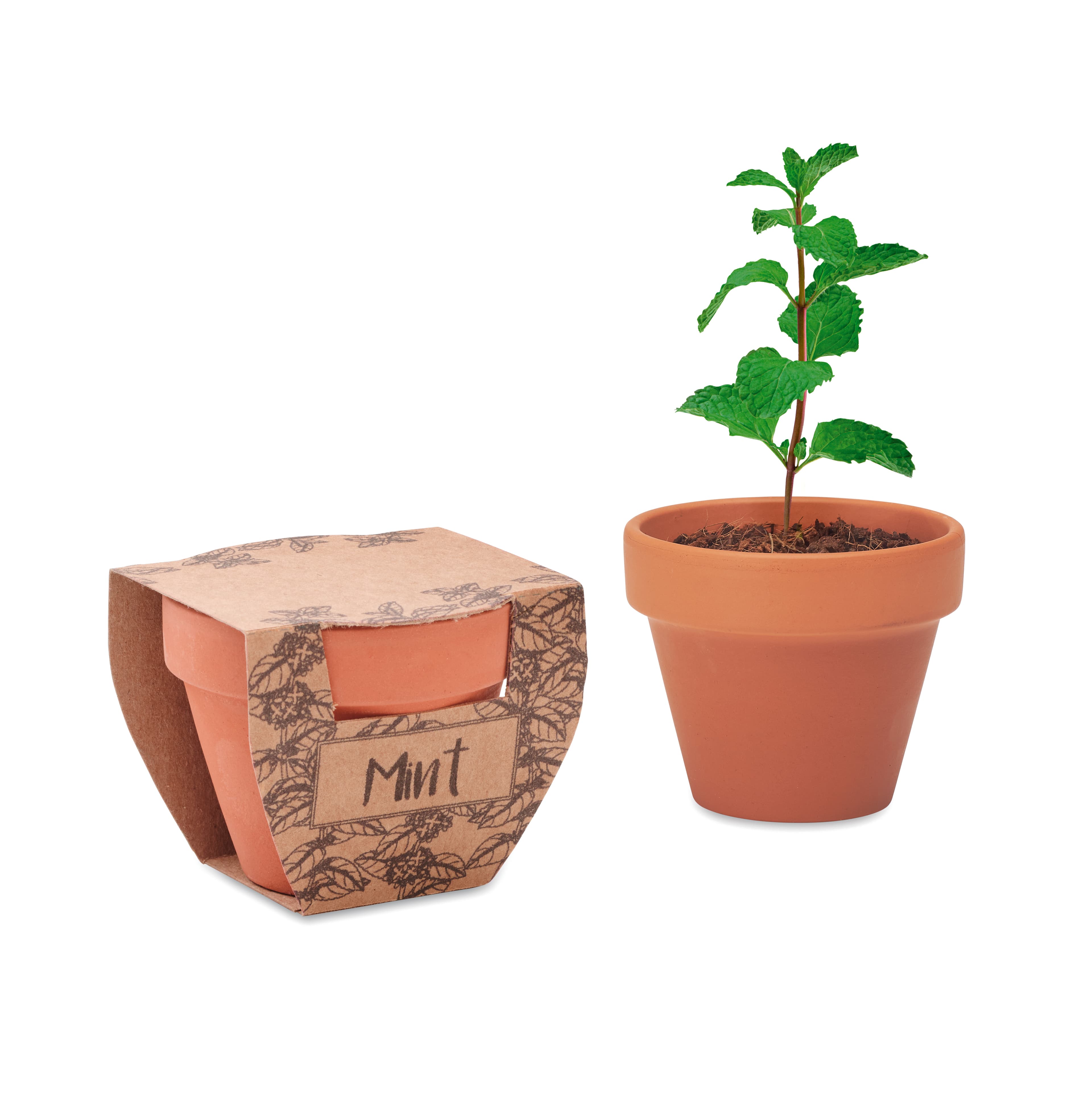 Miniature du produit