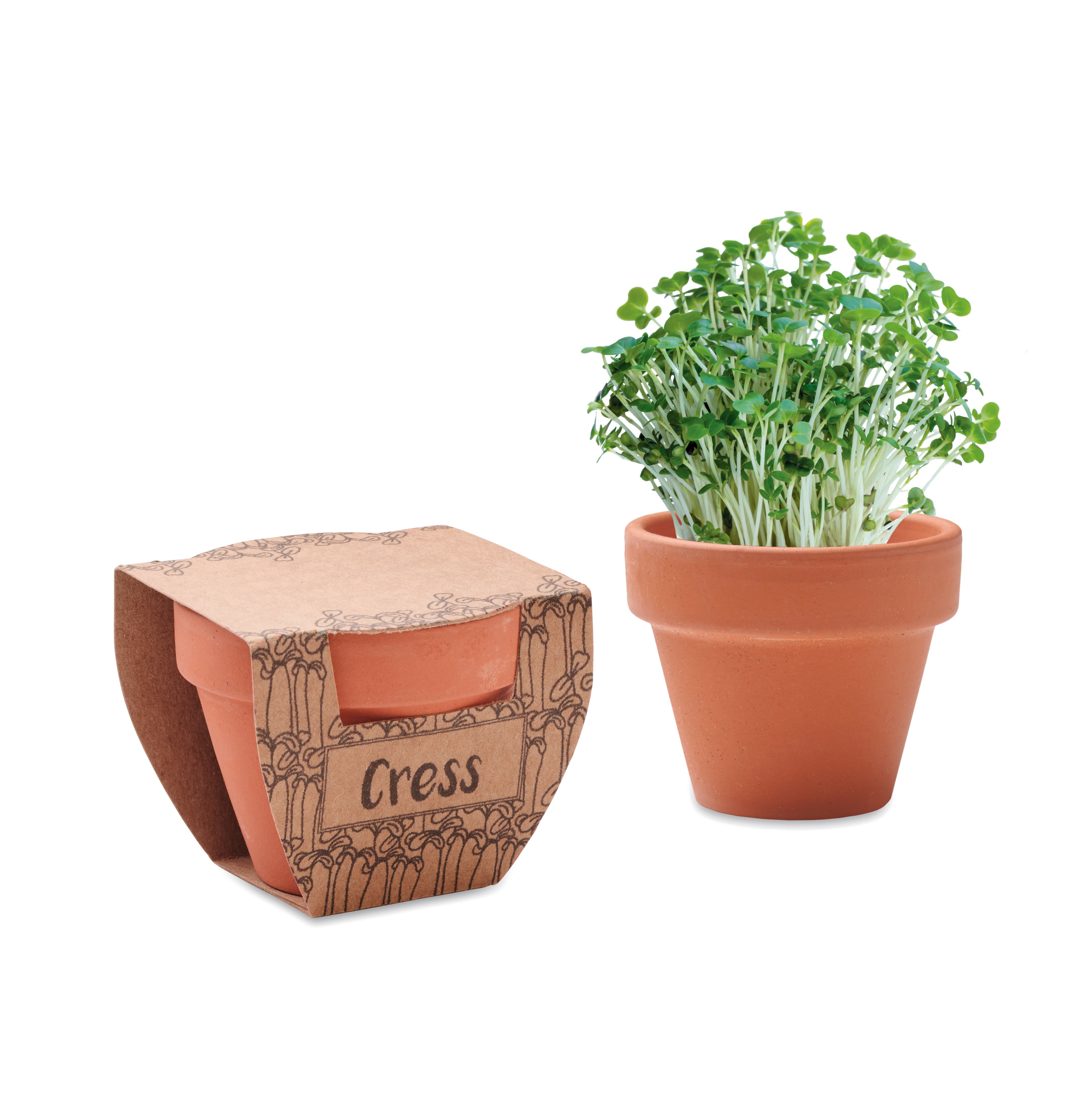Miniature du produit