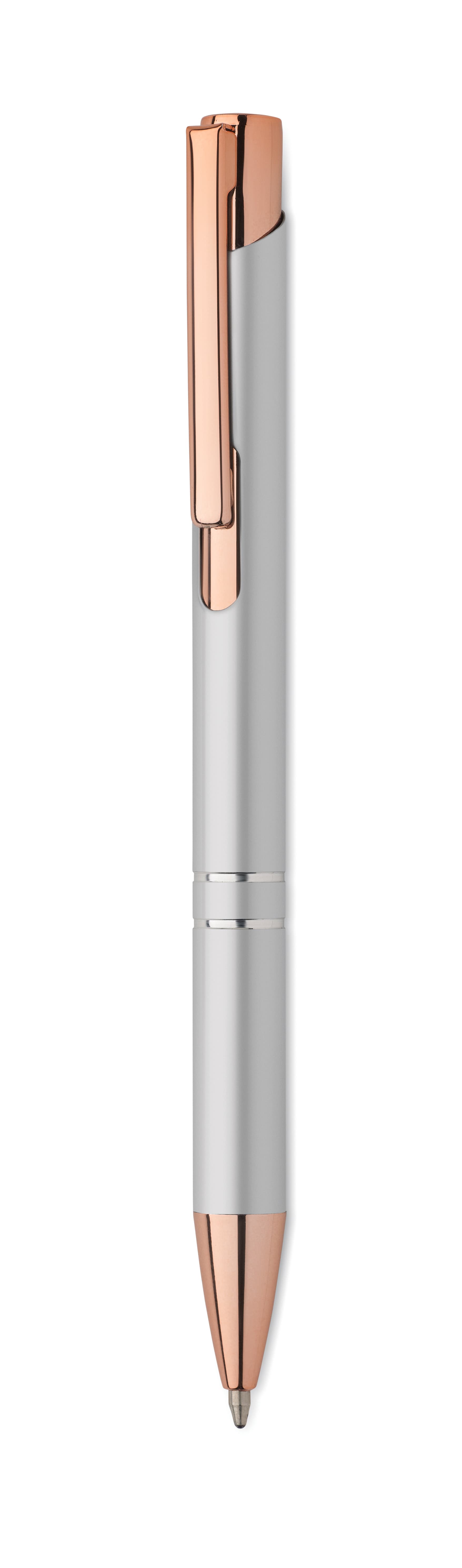 BERN ROSE — vue 1