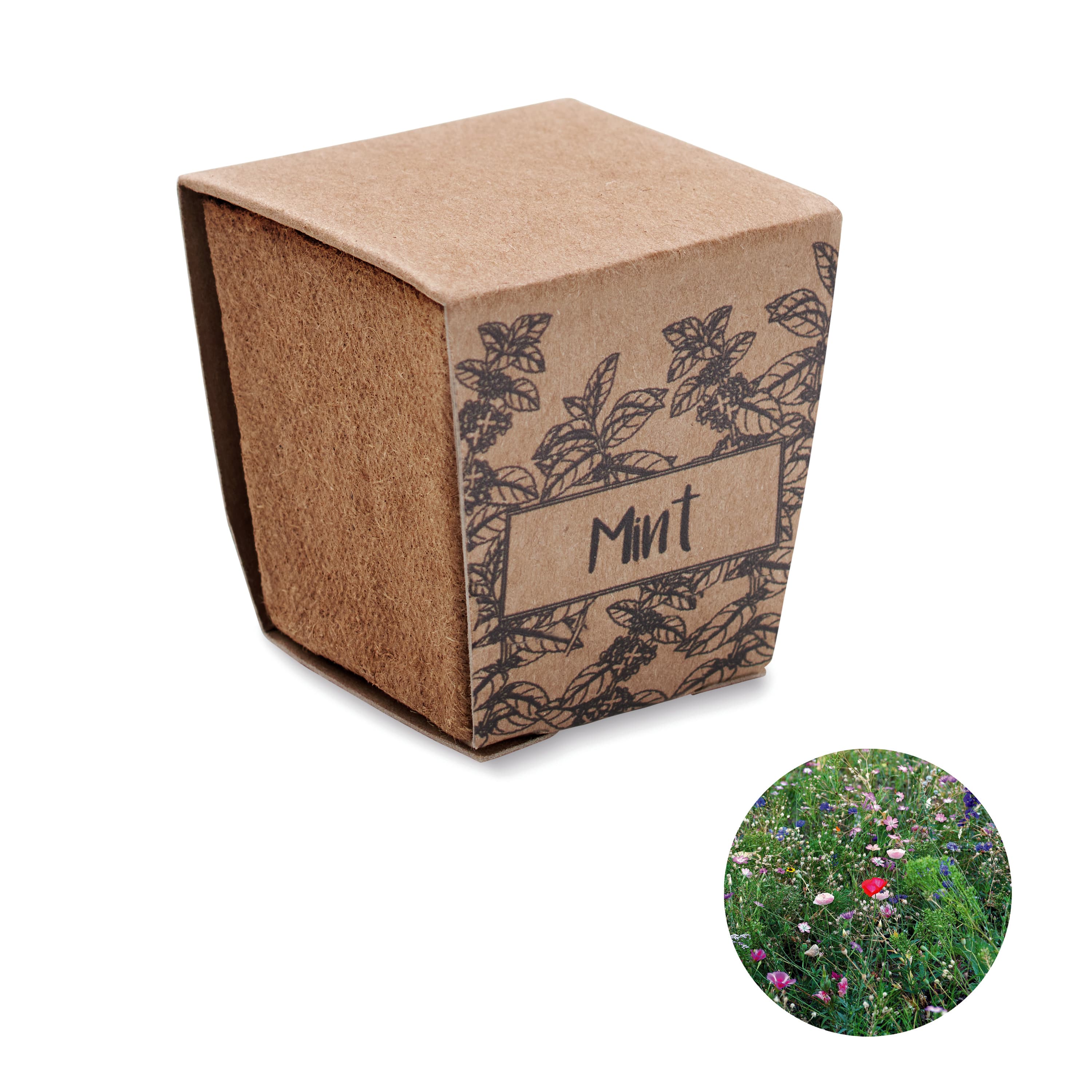 Miniature du produit