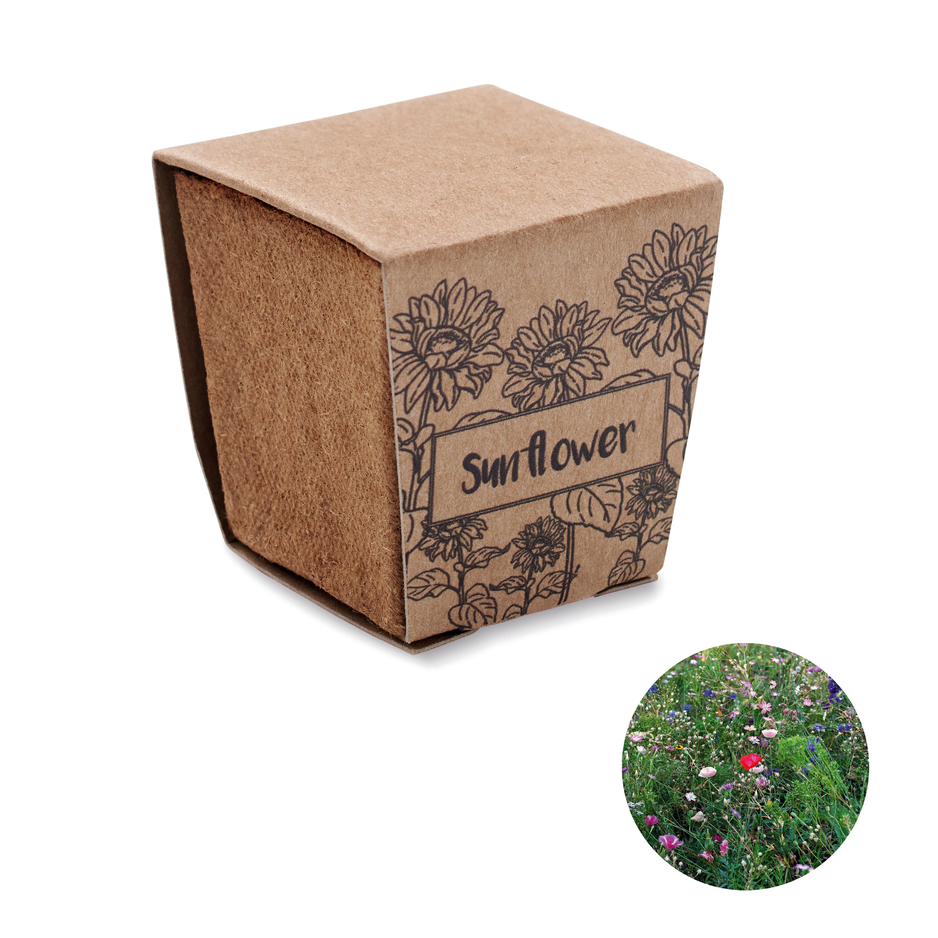 Miniature du produit