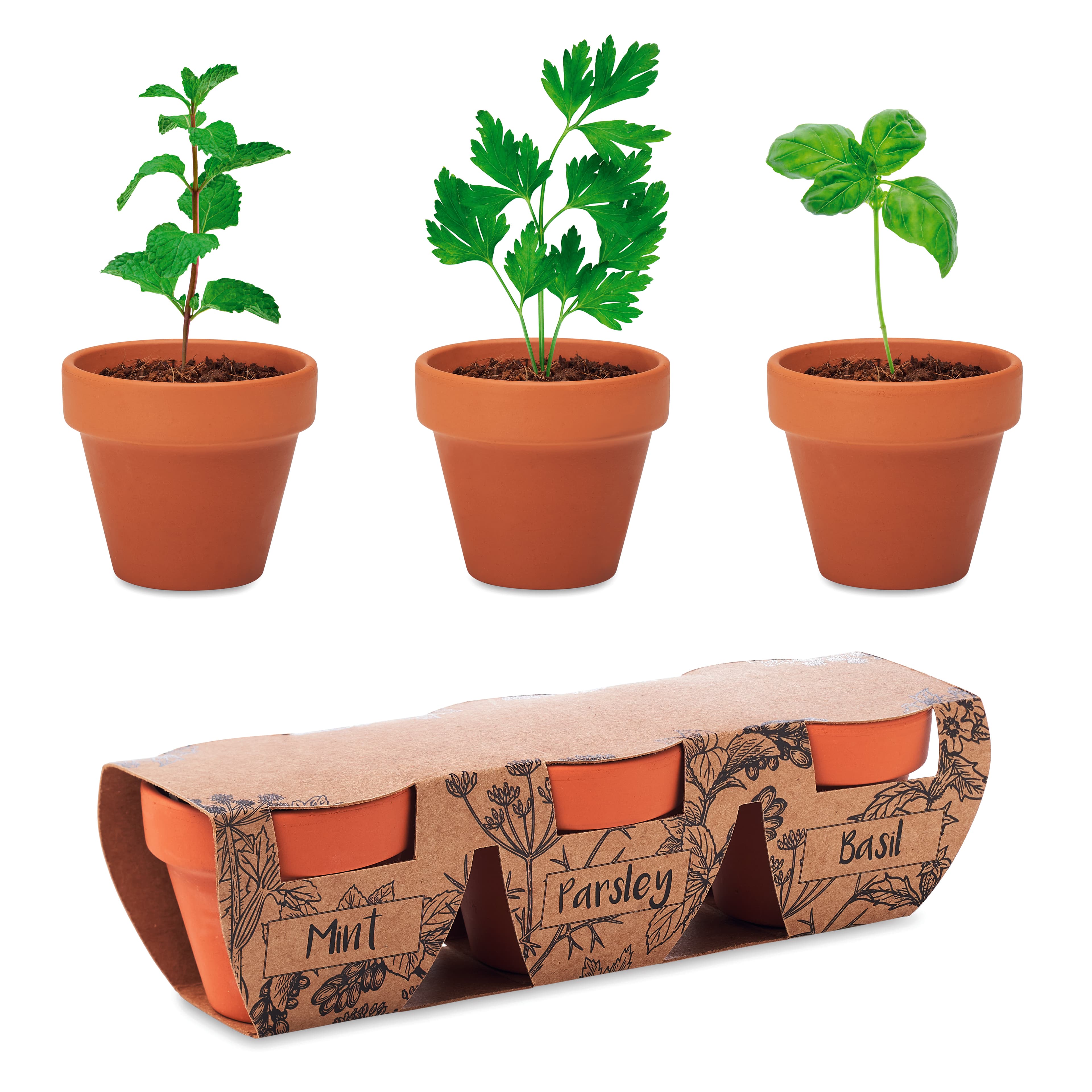 FLOWERPOT — vue 1