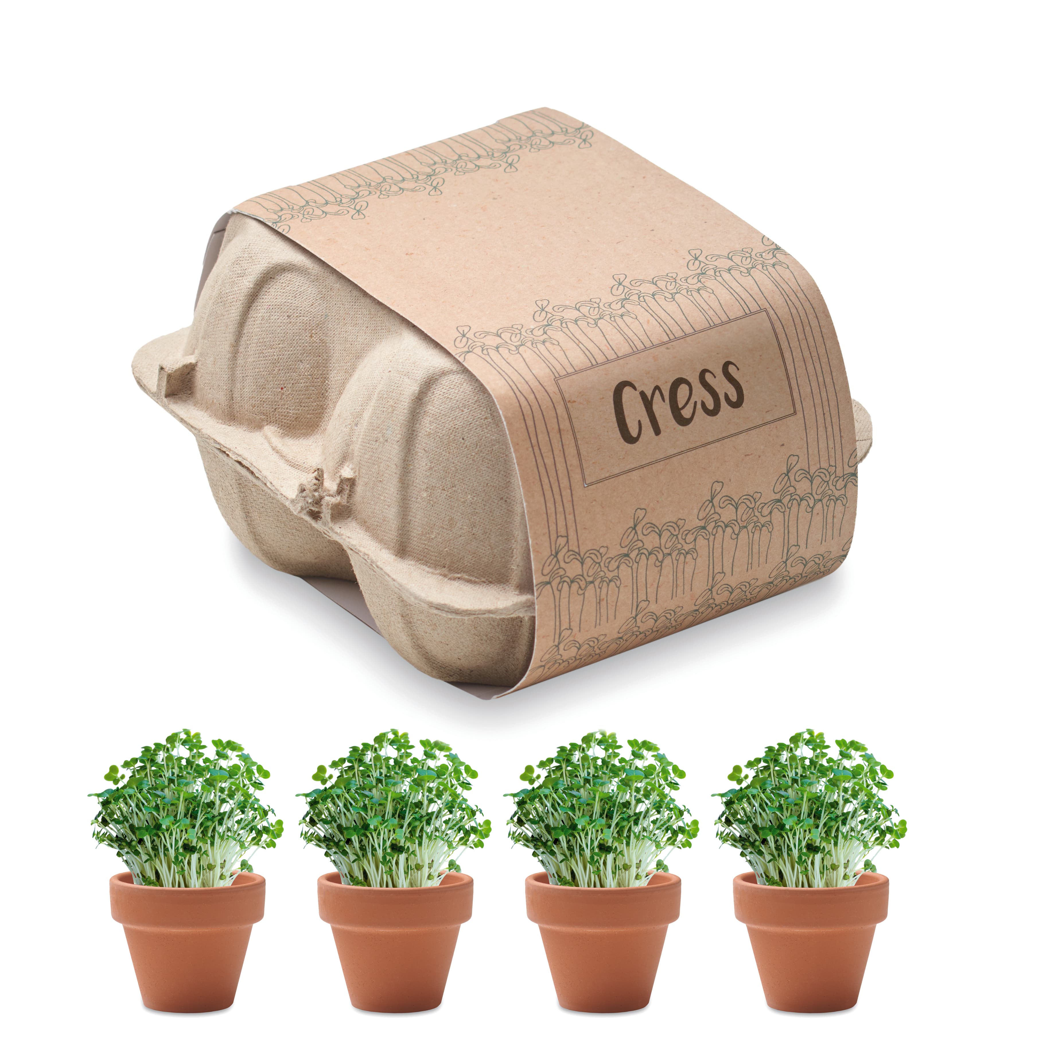 Miniature du produit