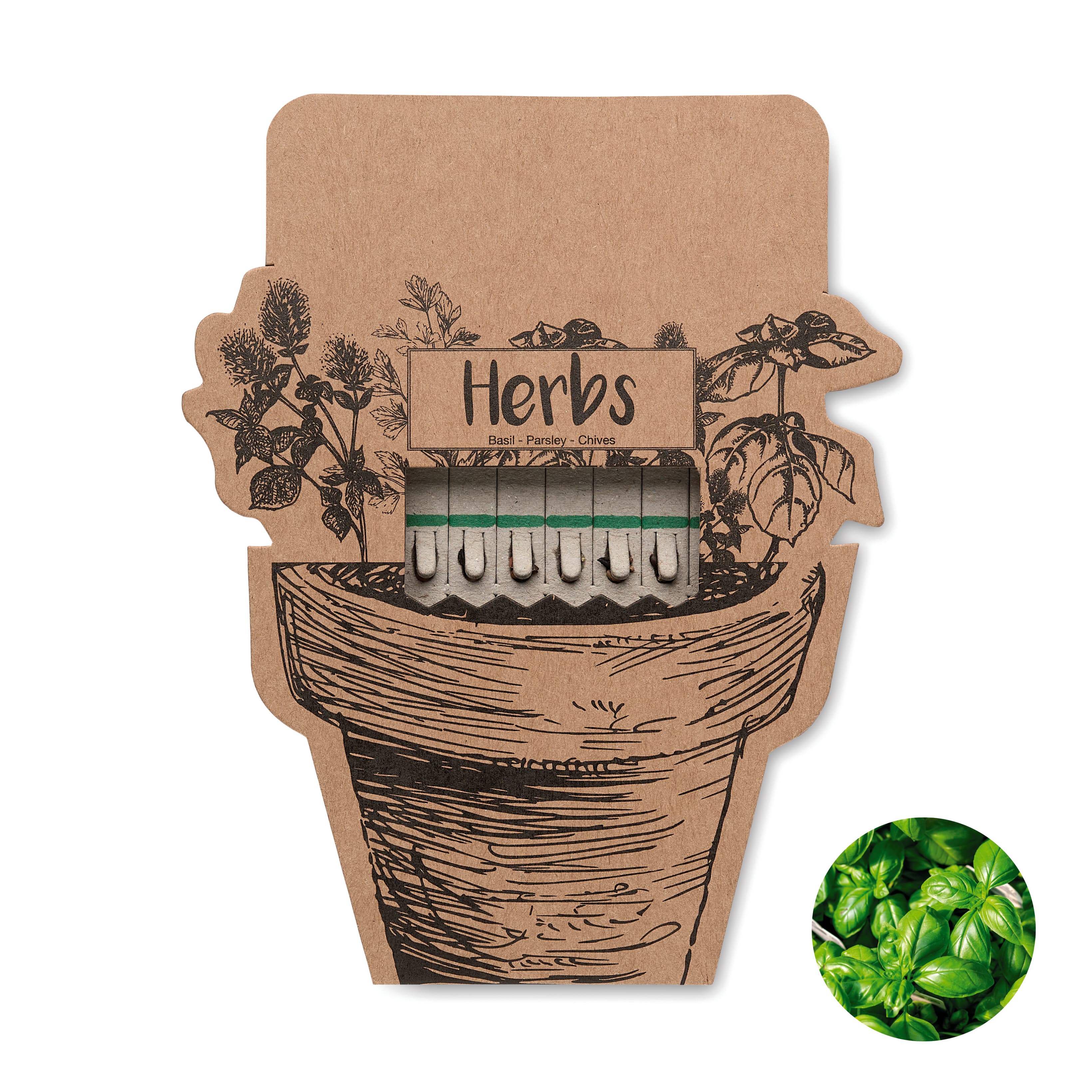 Miniature du produit