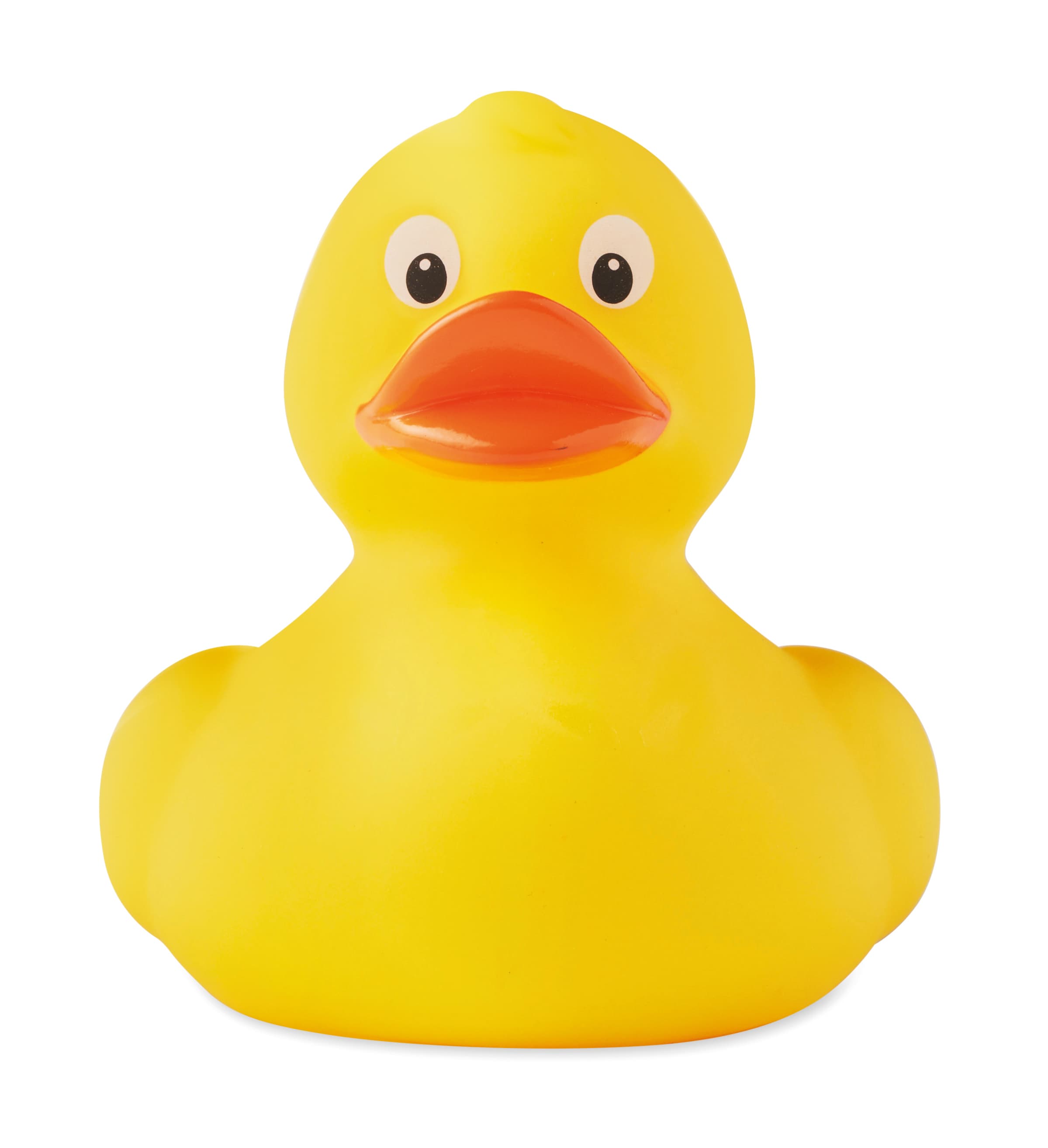 DUCK — vue 1