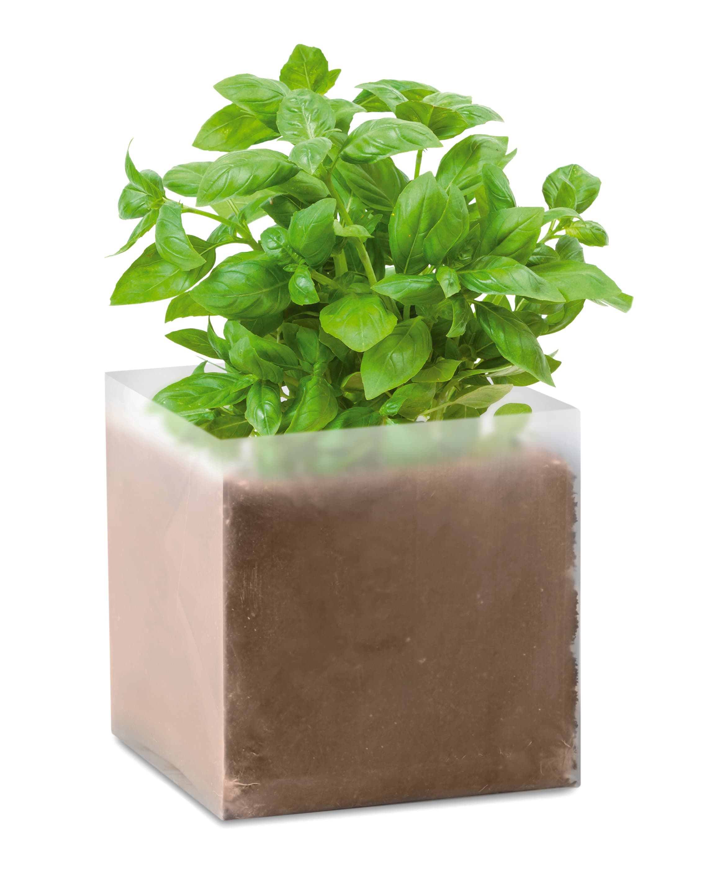 Miniature du produit