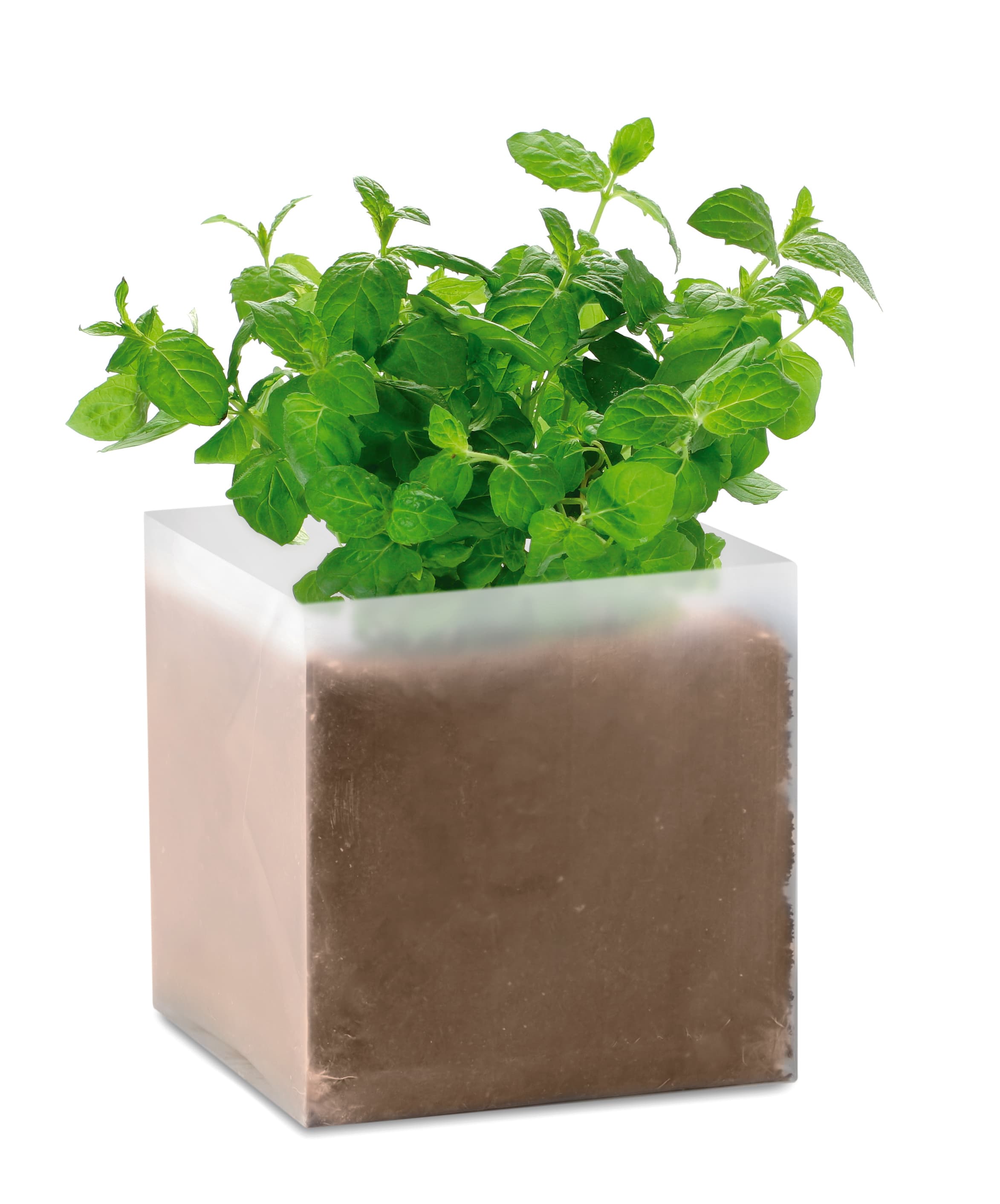 Miniature du produit